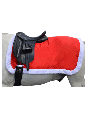 Christmas Exercise Sheet for Horses and Ponies