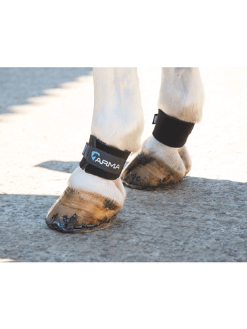 Shires Arma Pastern Wrap