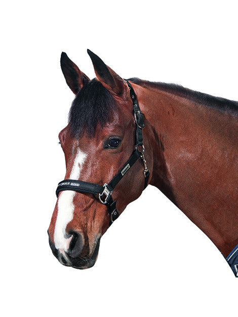 Eskadron Headcollar black