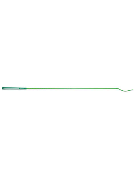 Bright Schooling Whip