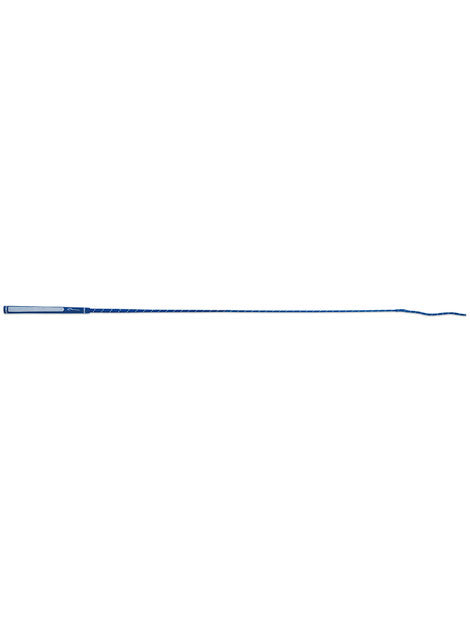 Bright Schooling Whip