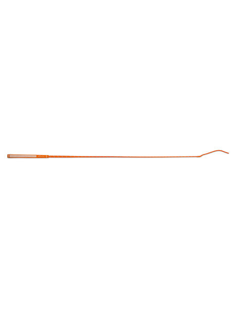 Bright Schooling Whip