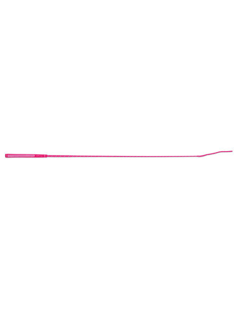 Bright Schooling Whip