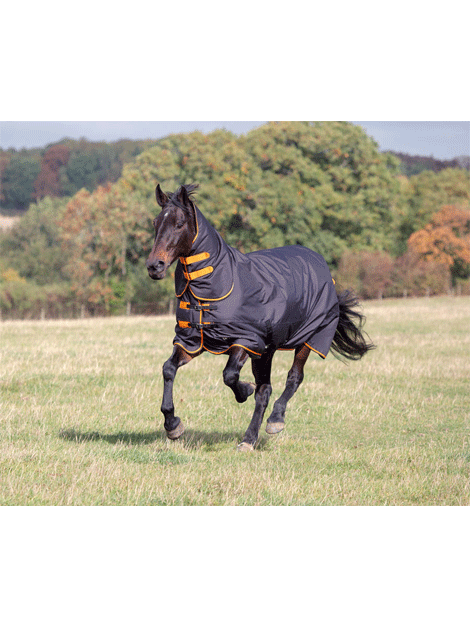 Shires Tempest Medium Weight Combo Turnout Rug