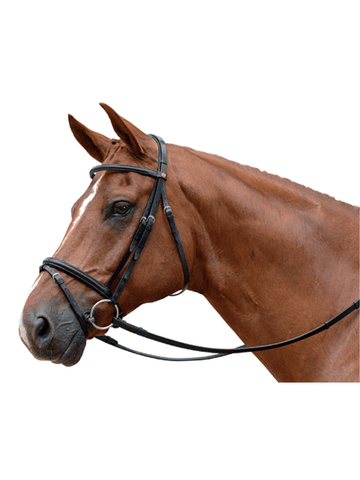 Albion KB Competition Snaffle Flash Bridle