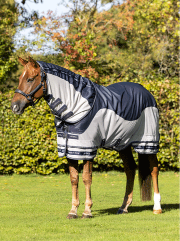 Horse standing in field wearing Arika shower proof fly rug