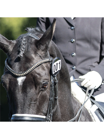 Bridle Dressage Competition Numbers