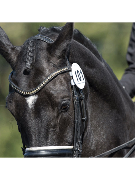 Bridle Dressage Competition Numbers