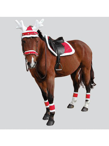 Pony Christmas Saddle Pad