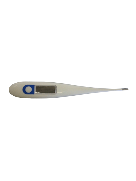 Digital Thermometer
