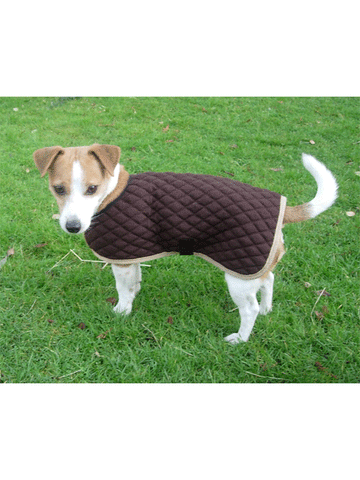 Horse Dogs Dog Coats Chobham Rider