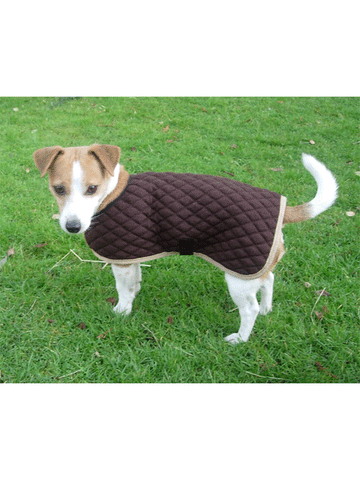 Thermatex Dog Coat