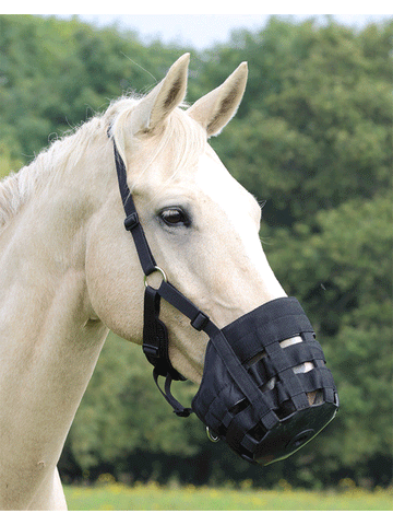 Grazing Muzzle