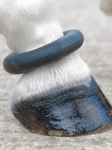 Fetlock Ring