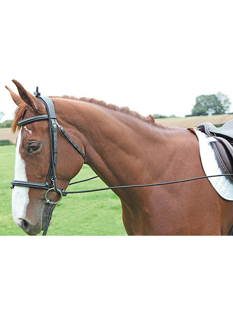 Elastic Training Reins