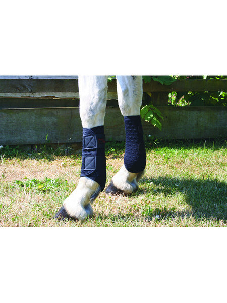 Equilibrium 2025 flatwork wraps