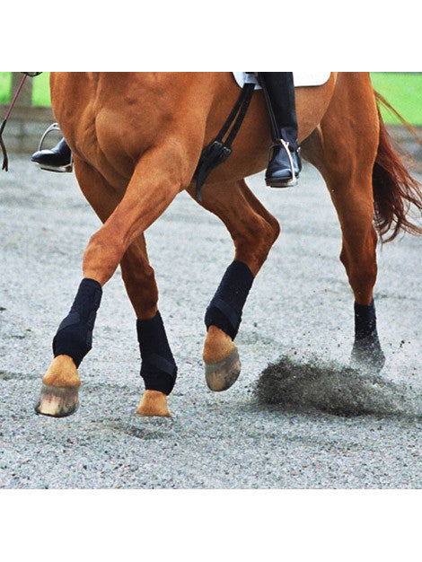 Equilibrium Training Wrap