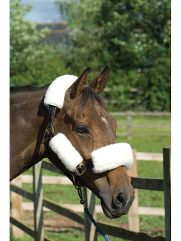 Griffin Wool Headcollar Set