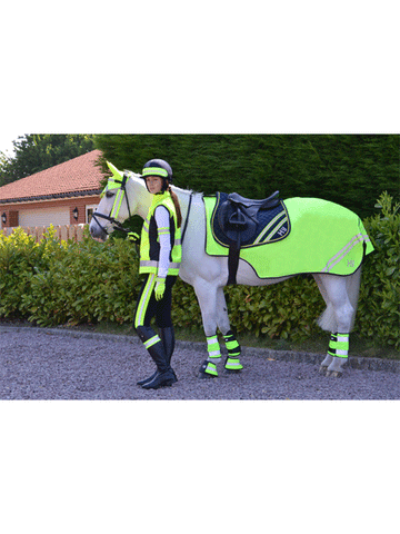 HyVIZ Reflector Exercise Sheet