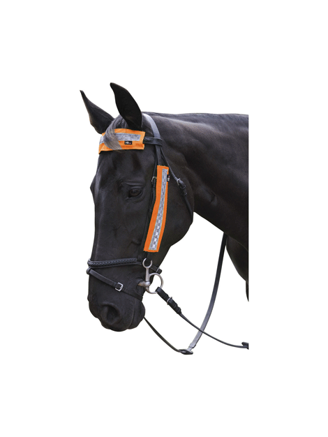 Hi Viz Bridle Set
