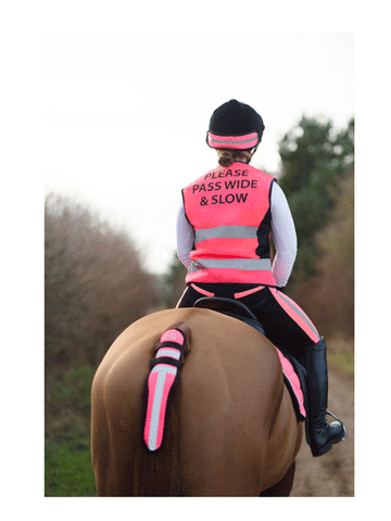 Hi Viz Tail Guard