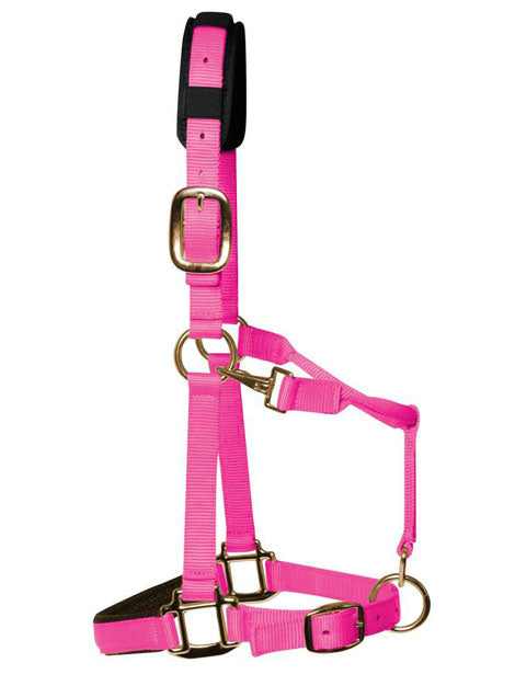 Padded Headcollar