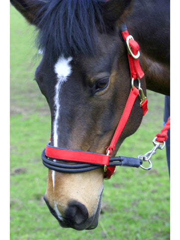 EzyLoader Head Collar Adaptor