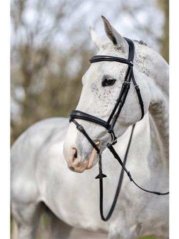 Le Mieux Competition Flash Bridle