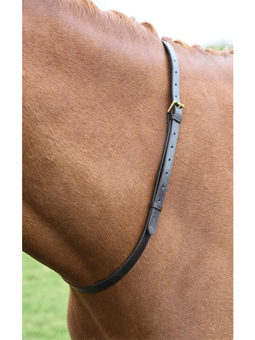 Neck Strap