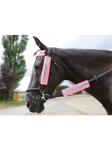Hi Viz Bridle Set