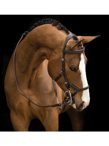 Rambo Micklem Competition Bridle