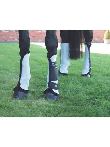 Shires Arma Fly Turnout Socks
