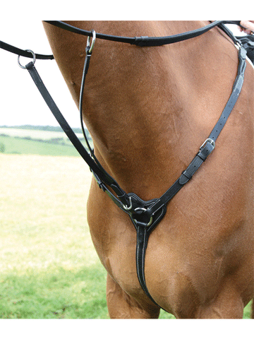 Salisbury Three Point Breastplate