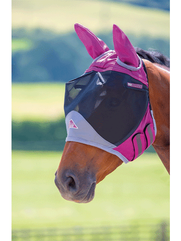 Bay Horse wearing shires deluxe fly mask in purple  