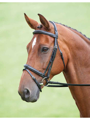 Shires Salisbury Flash Bridle