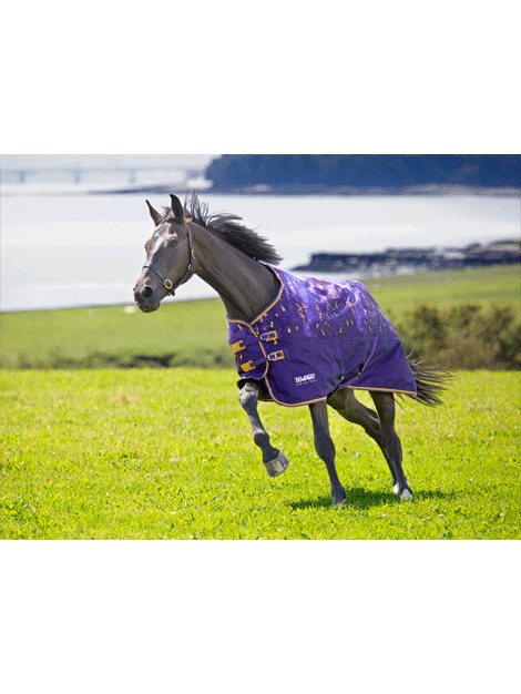 Shires Tempest Lightweight Turnout - 0g Fill