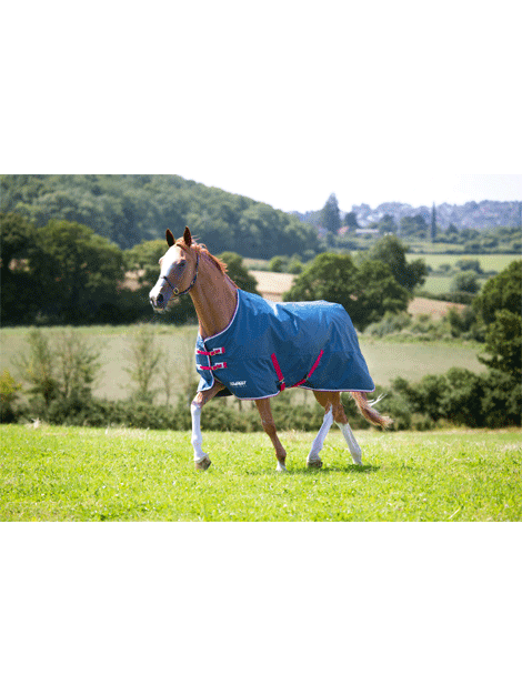 Shires Tempest Lightweight Turnout - 0g Fill