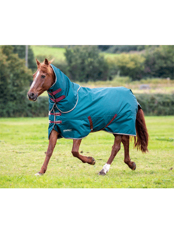 Shires Tempest Medium Weight Turnout Rug with Detachable Neck