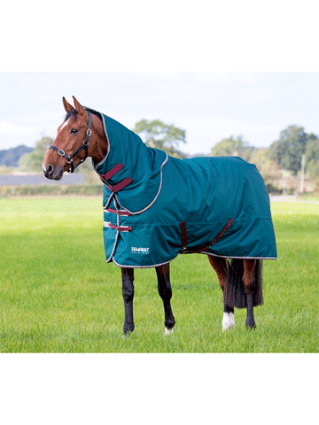 Shires Tempest Medium Weight Turnout Rug with Detachable Neck