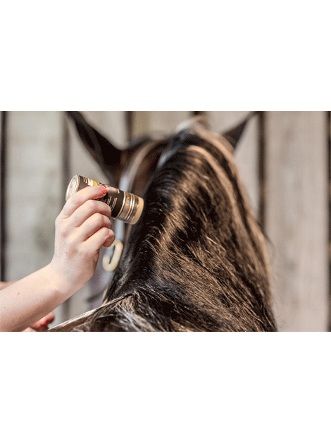 Smart Grooming Plaiting Wax