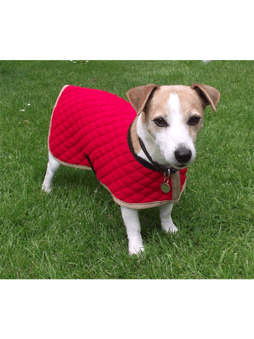 Thermatex Dog Coat