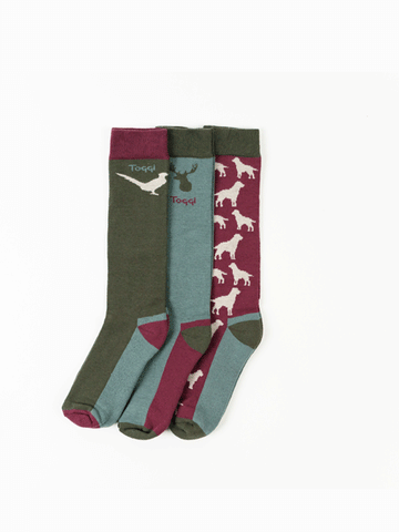 Toggi 3 Pack Men's Riding Socks