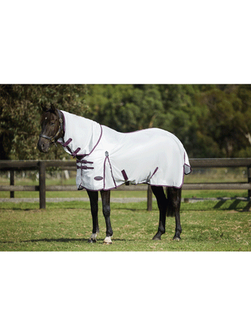 Weatherbeeta Comfitec Essential Mesh II Combo Neck Fly Rug