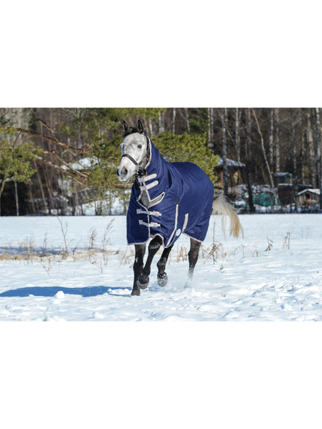 Weatherbeeta Comfitec Essential Combo Medium Turnout