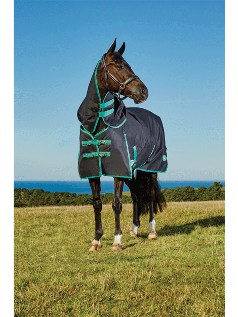 Weatherbeeta Green-Tec Heavyweight Turnout