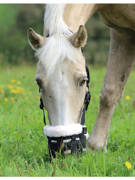 Comfort Grazing Muzzle