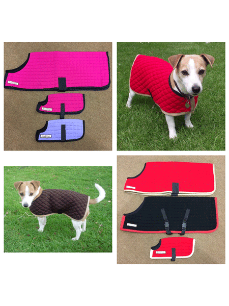 Thermatex clearance dog coat