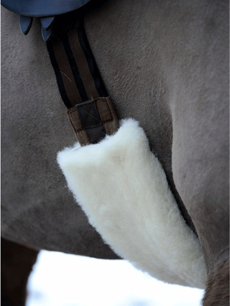 Griffin Wool Girth Sleeve (EA01)