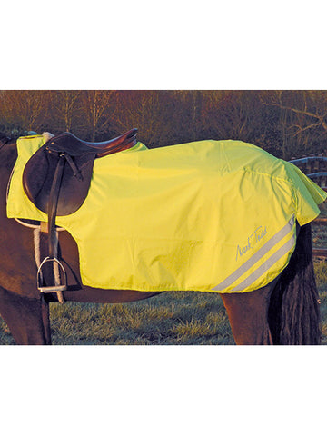 Mark Todd Reflective Waterproof Exercise Rug