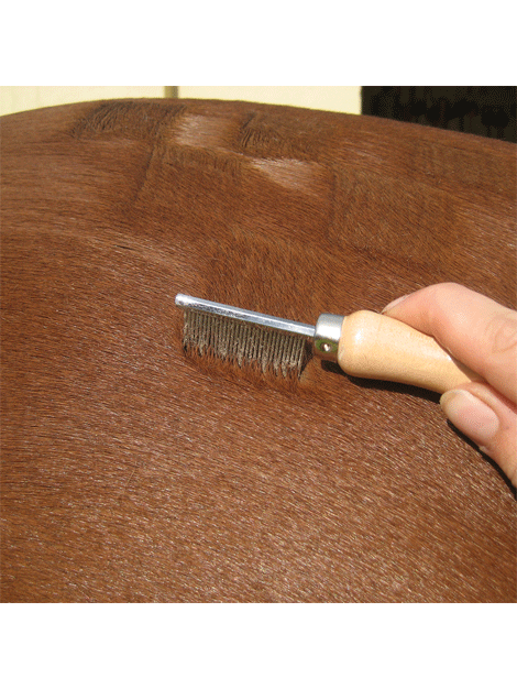 Smart Grooming Quarter Marking Comb